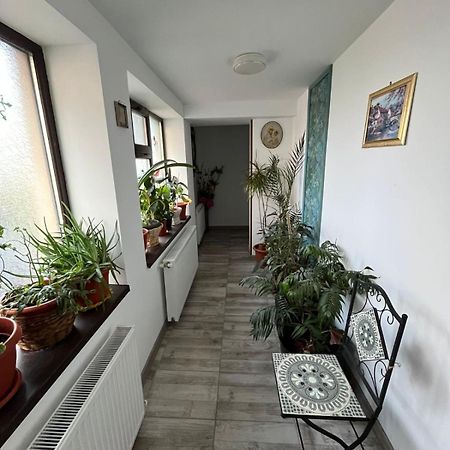 Solaria Apartment Gałacz Zewnętrze zdjęcie